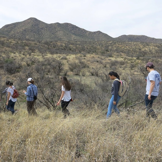 GU Arivaca Grace Laria