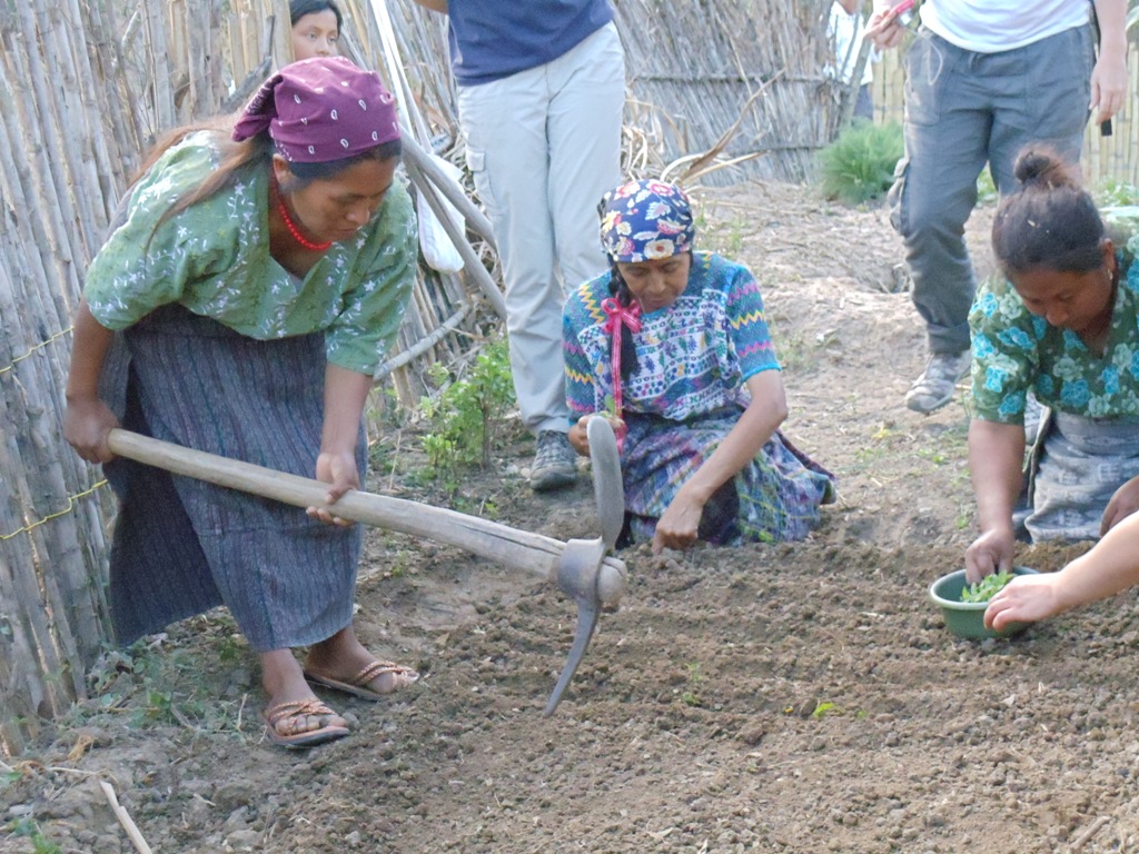 Photo in Guatemala