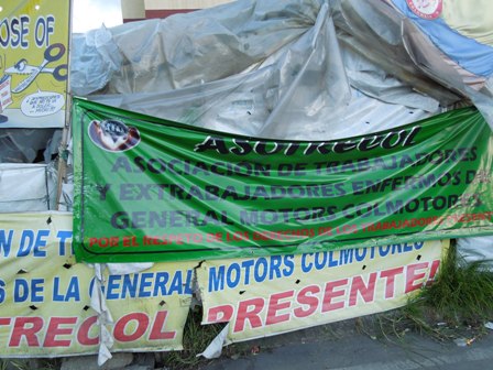 hostas_midsummer_5024June_July__2012